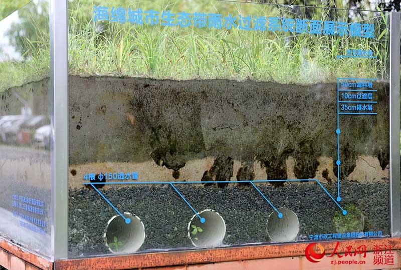 dBˮ^Vϵyչʾģ z