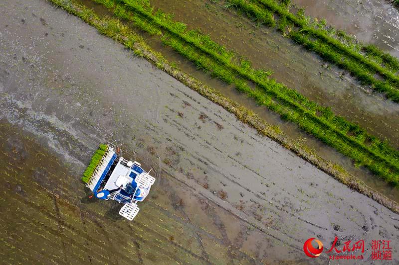 811㽭ʡϪЙMo{Cһ̎﹤ z