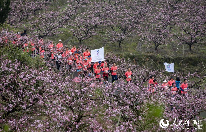 321ڌз^ּҴgW z