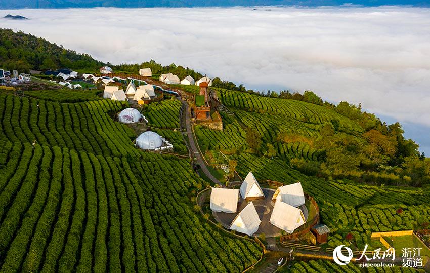 416_Sr^ƽlSëɽB@ƺgFvL箋W z