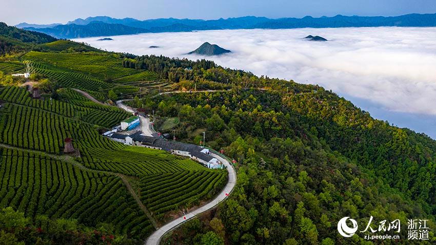 416_Sr^ƽlSëɽB@ƺgFvL箋W z