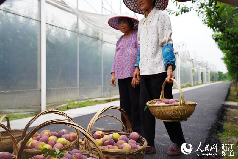 ҈@Ęϲ@S񂃝MdwW ʒʒz