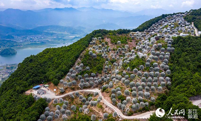 _Sr^ƽl÷÷䶼ڡÎW z