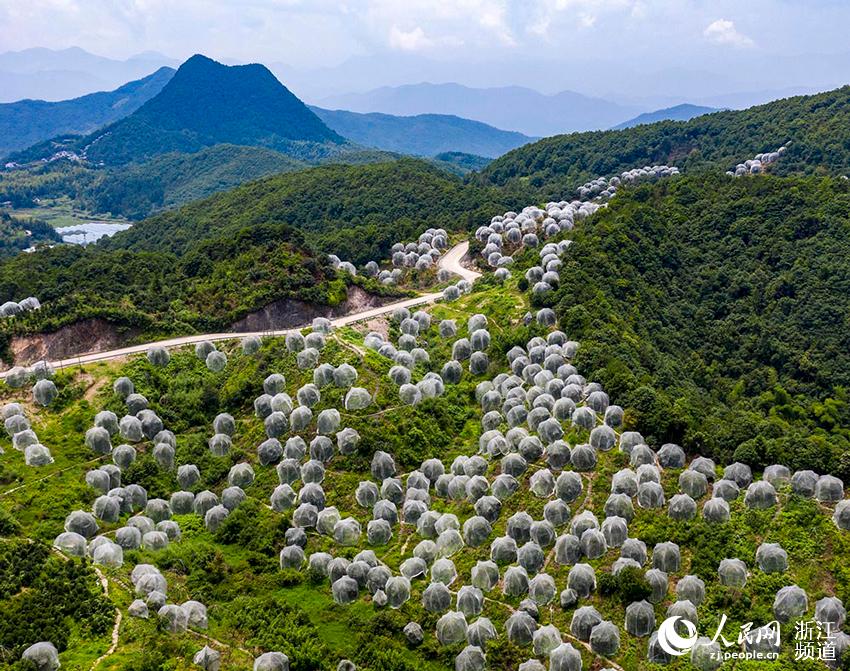 _Sr^ƽl÷÷䶼ڡÎW z