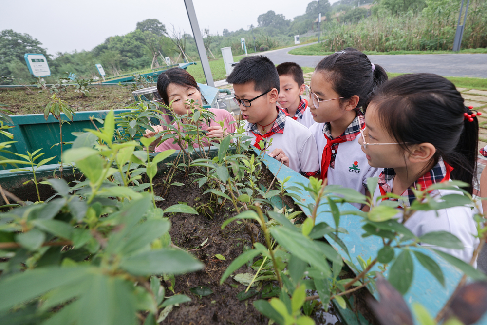 ݵhČWУӅ^ˮֿ^̿z