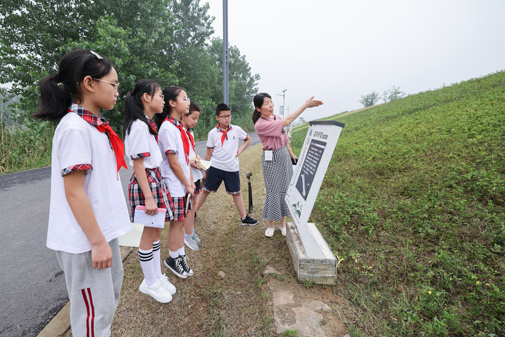 ݵhČWУӅ^ˮֿ^̿z