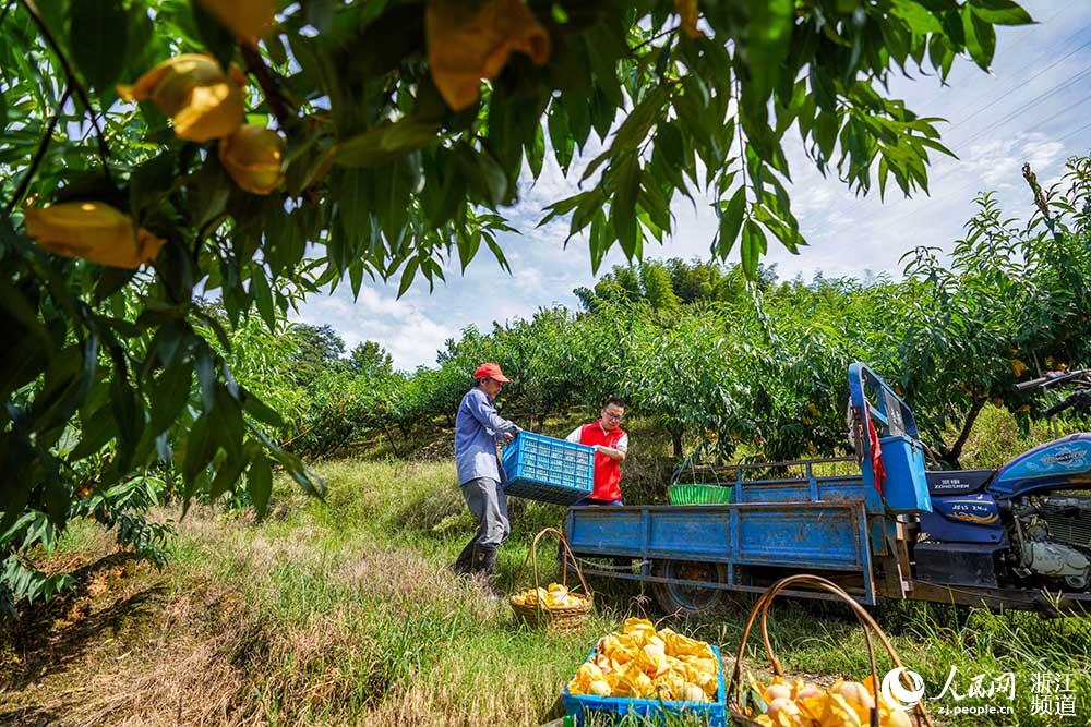 713hT־ԸߎrժˮW z