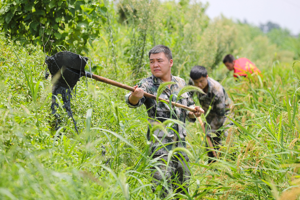 728ںеhҴһ̎ԮˆTrˮz