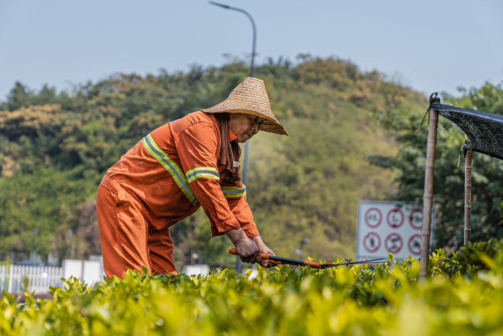 ·Bo޼֦~nc·Ȕz