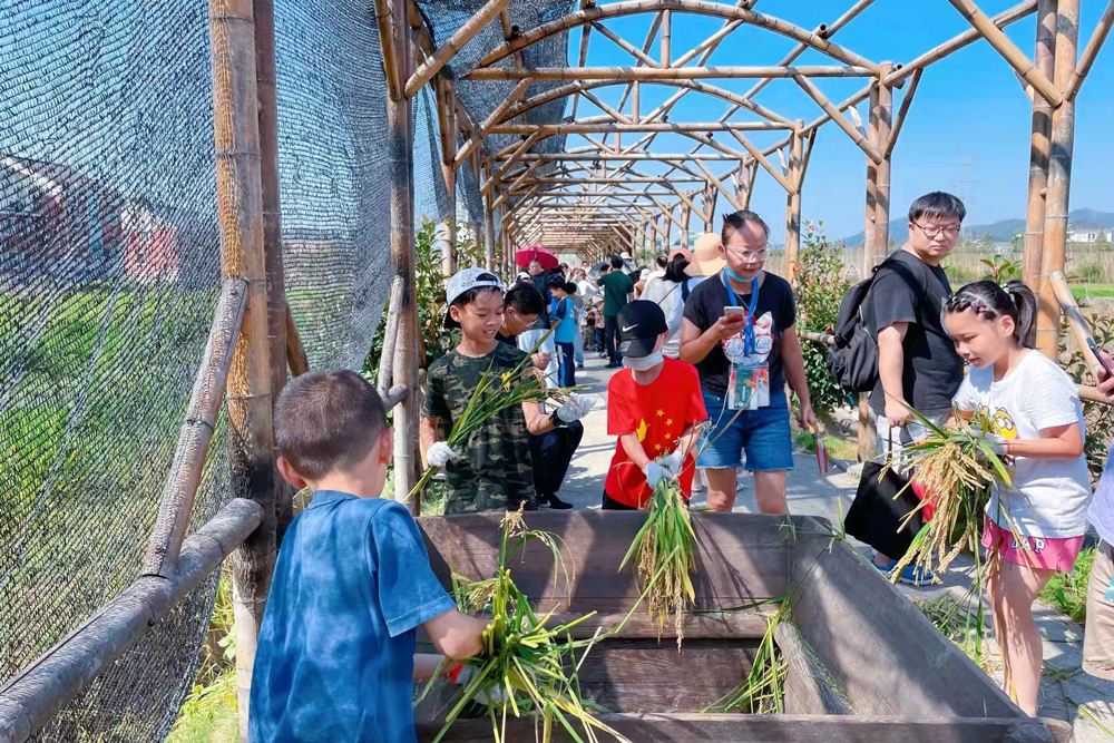 ϲræլF,cRSmﾰ^D