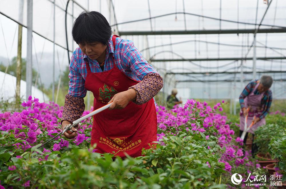 _ɾӿh_@һһܷNֲrڌԻľM֦W z