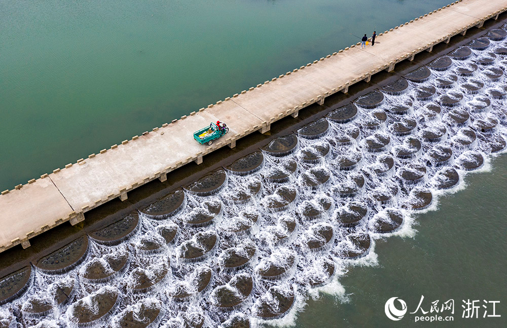 ӵˆTڌЌhǰͯɽ~[߉ѲӵW z