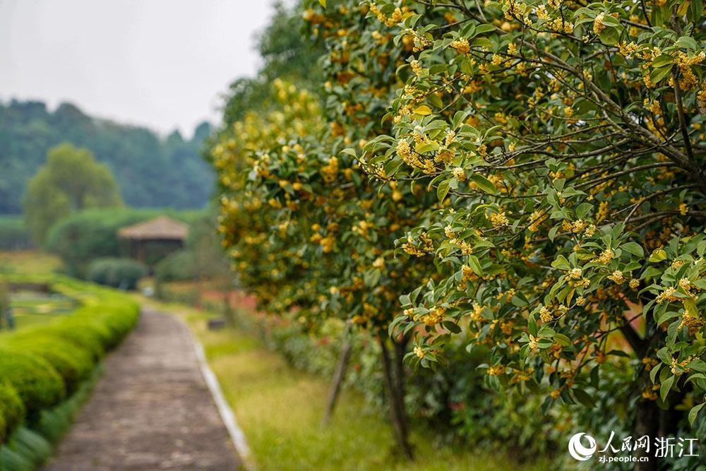 ӎXB@ʢ_W z