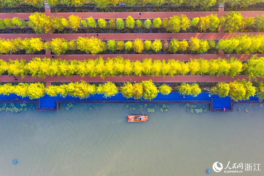 ӵTڌ悺^ֵMбW z