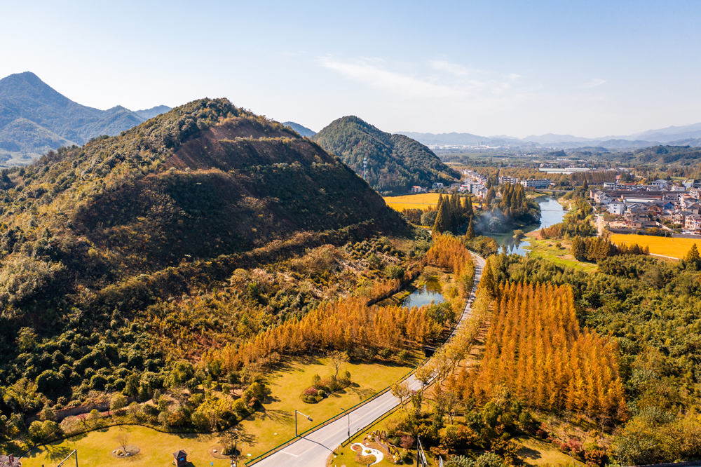 119ຼྀﾰɫȔz