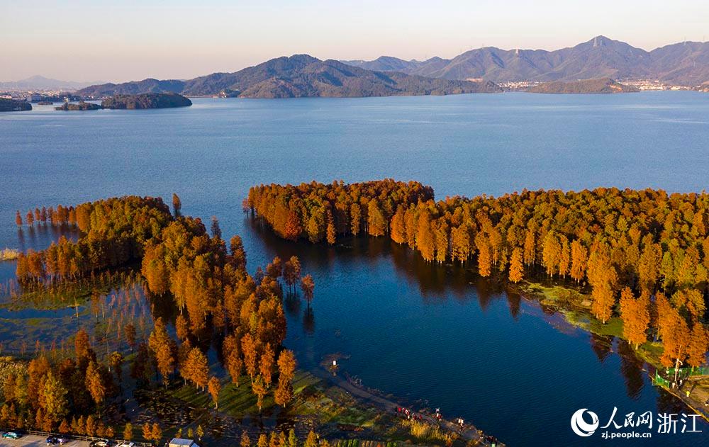 ߅ļtɼ_Ԋ箋oĶՎһĨůW z