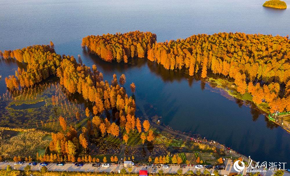 ߅ļtɼ_Ԋ箋oĶՎһĨůW z