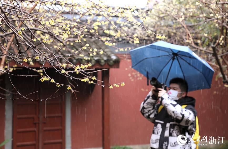 zӰۺѩĔz÷W z