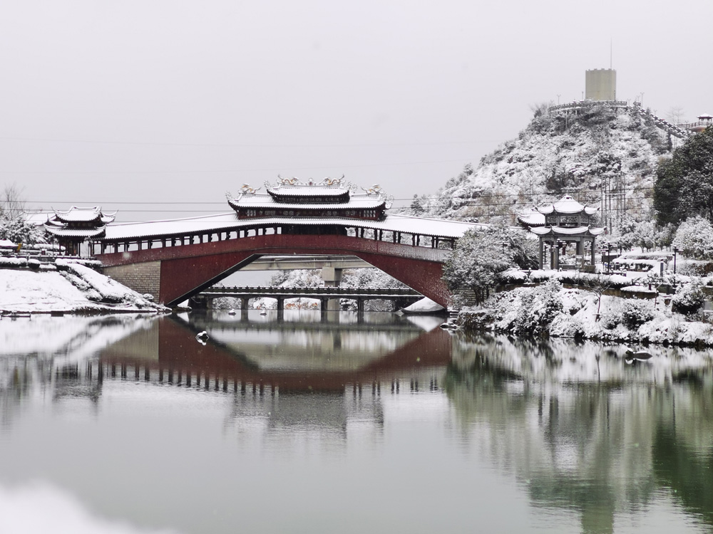 ѩtȘ໥ӳr~;z