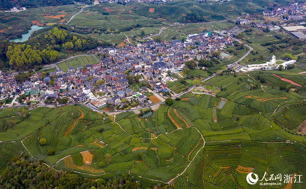 318ɲ蹤ں^DֵϳܤĲɽϲժǰѿW z