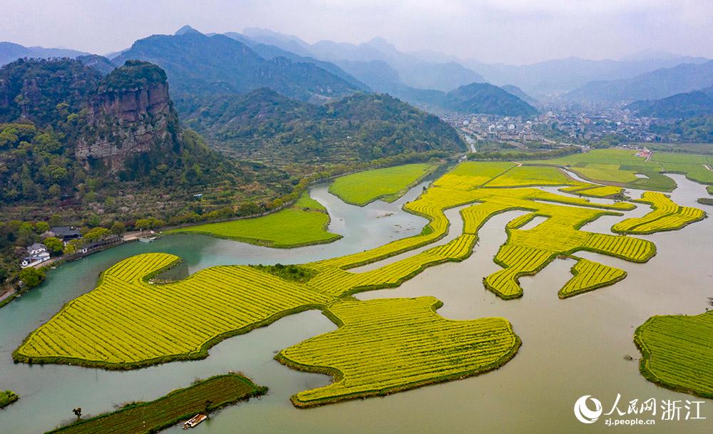 328㽭ʡRҽʮʢ_Ͳ˻ɫW z