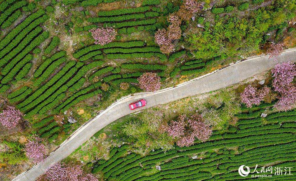 ܇vڙѻʢ_ĽBd²hСپW z