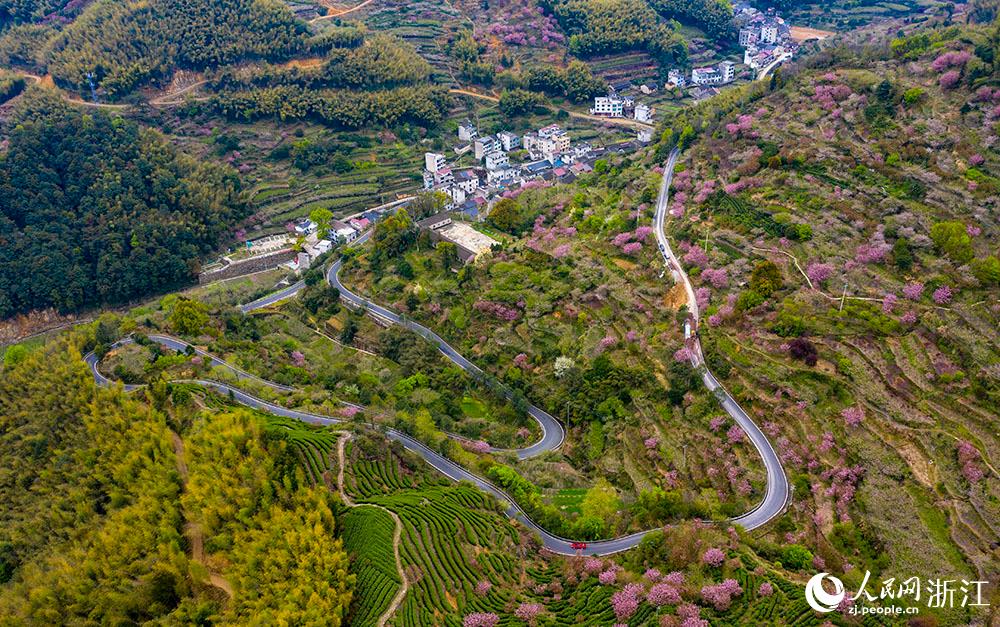 ܇vڙѻʢ_ĽBd²hСپW z