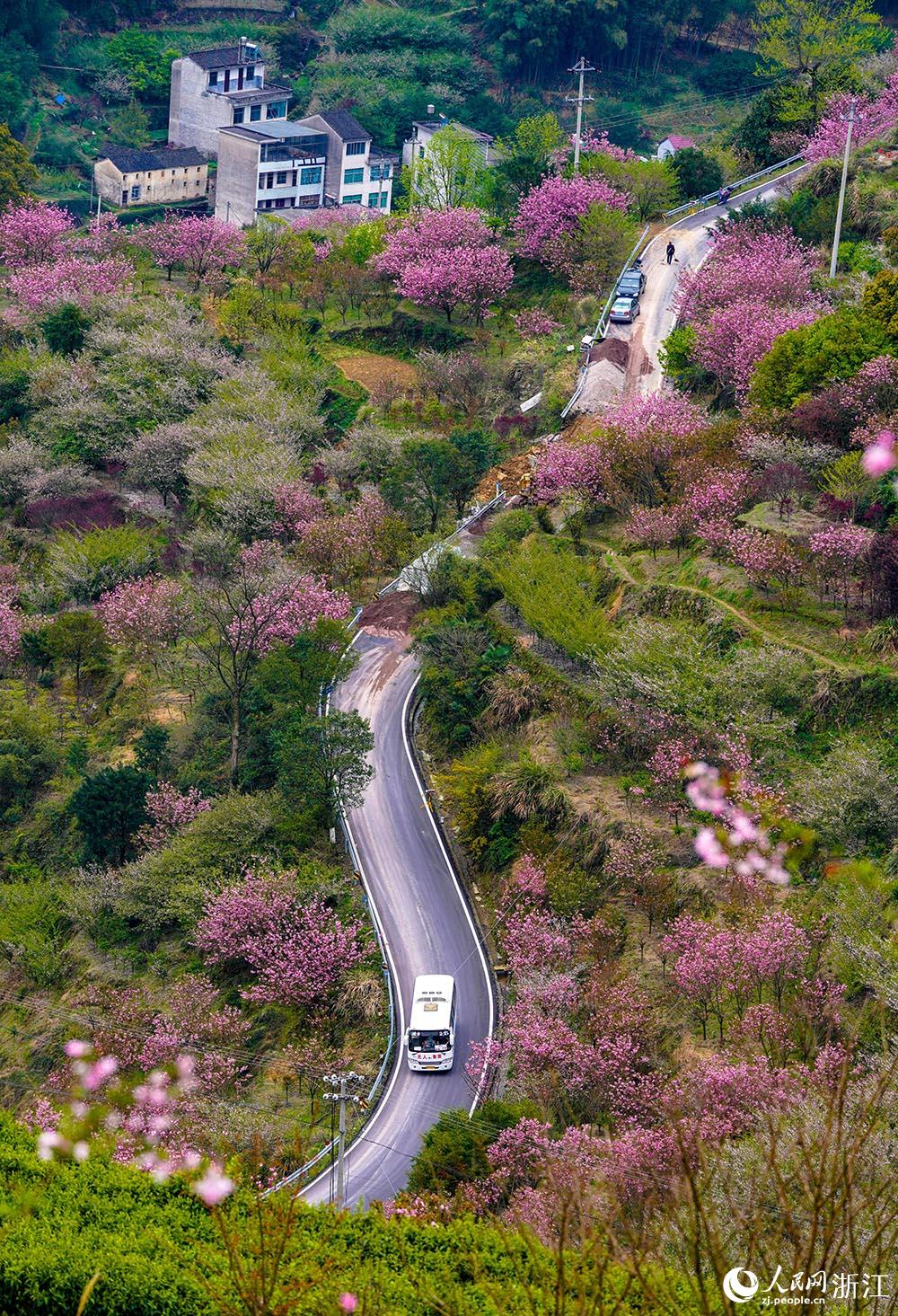 ܇vڙѻʢ_ĽBd²hСپW z