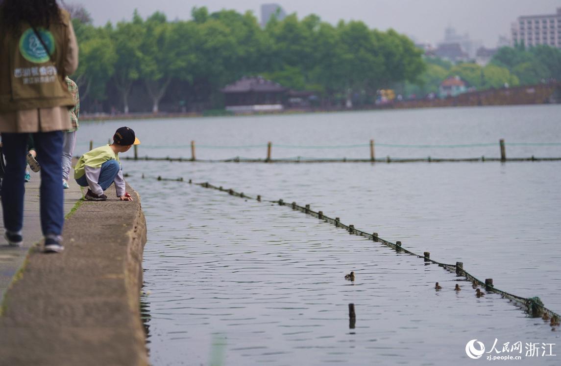 ӭ2022׸CСxW Pz