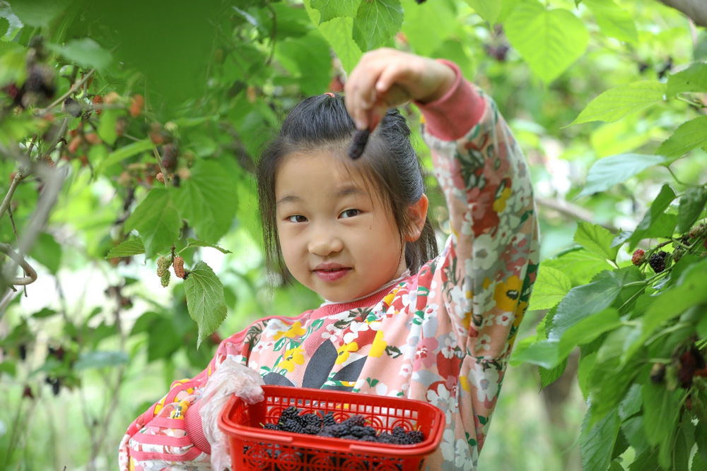 ںеh犹ϪߞI؃οڲժɣz