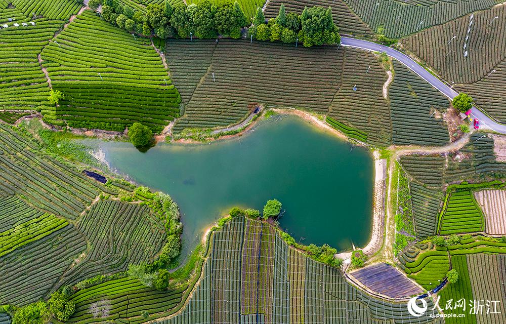 ��ˮ����ꖿh��ľɽ�f����@�q��򷭵��{ɫ�P������W �����z