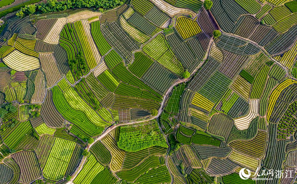 ��ˮ����ꖿh��ľɽ�f����@�q��򷭵��{ɫ�P������W �����z