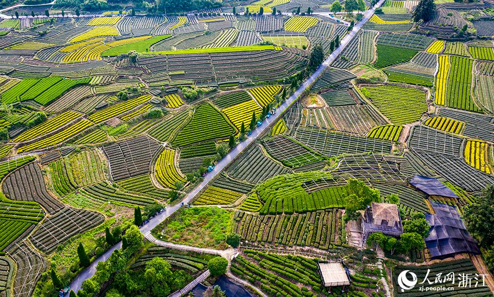 ��ˮ����ꖿh��ľɽ�f����@�q��򷭵��{ɫ�P������W �����z