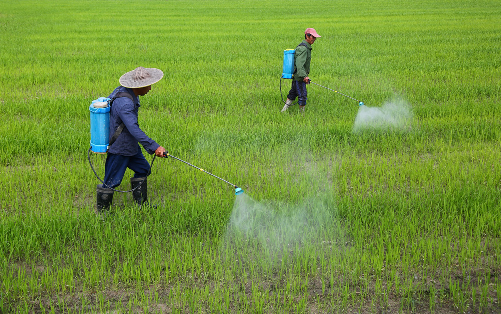 522_·^M悾絾ræz