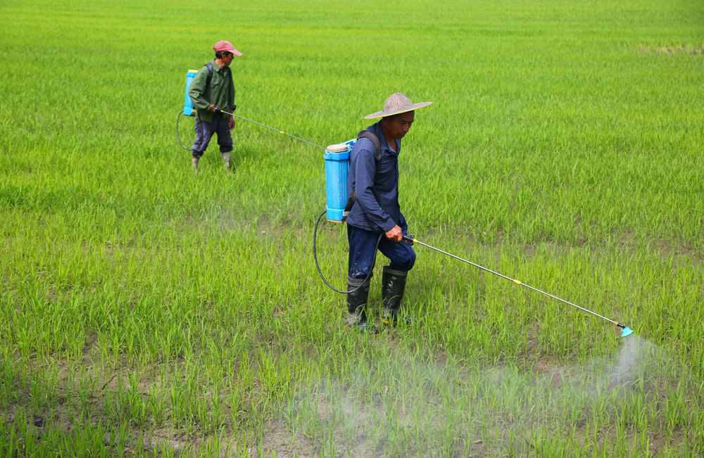 522_·^M悾絾ræz