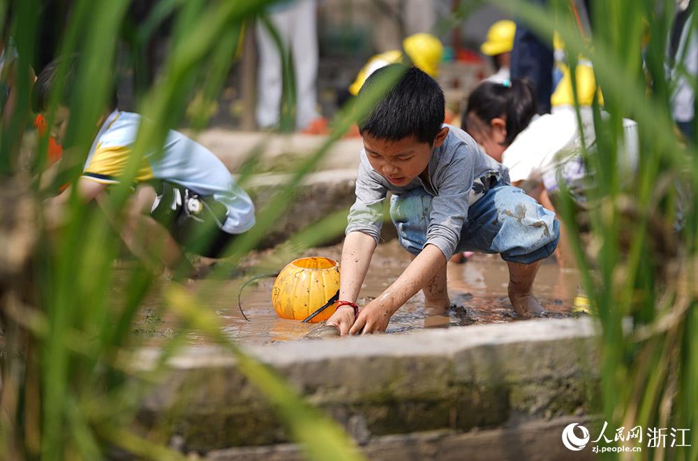 527㽭ʡϪԪ׃@ӂˮץqW z