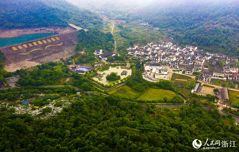 530ıɽh½W z