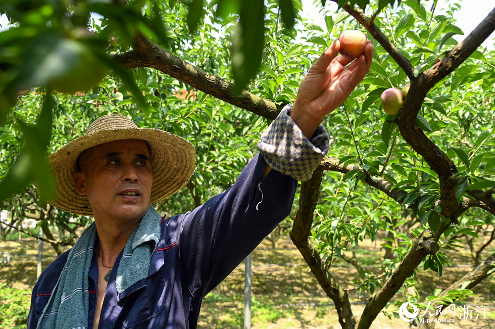 6��18�������dͩ�l��ͩ�ֵ��҈@���һ̎���@�����r����æ����ժ����������W �~�e�Ôz