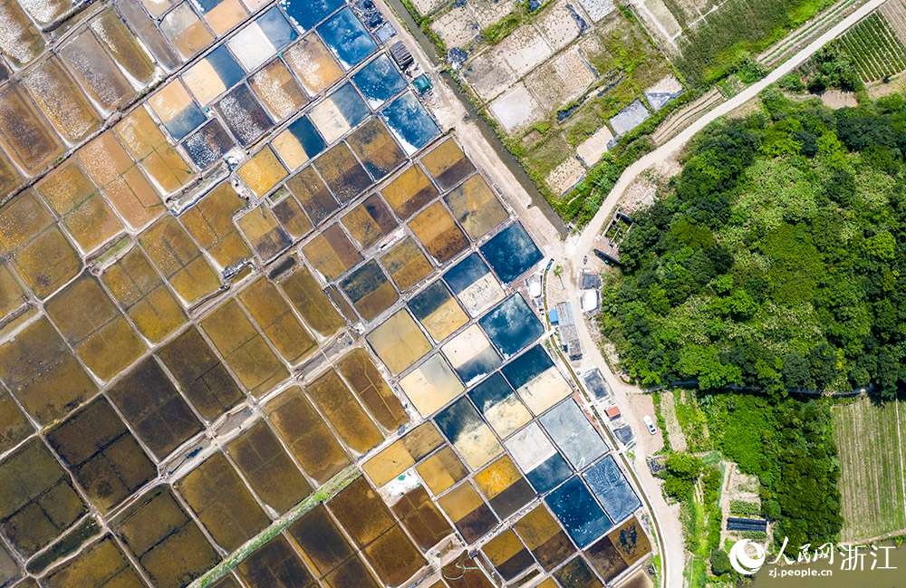 7月13日，航拍寧波市北侖區白峰街道外峙島鹽場。人民網 章勇濤攝