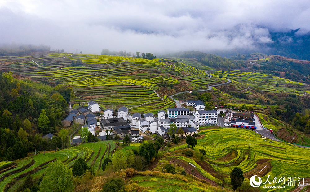 楊豐山村油菜花競相開放，構成一幅秀美的鄉村田園畫卷。人民網 章勇濤攝