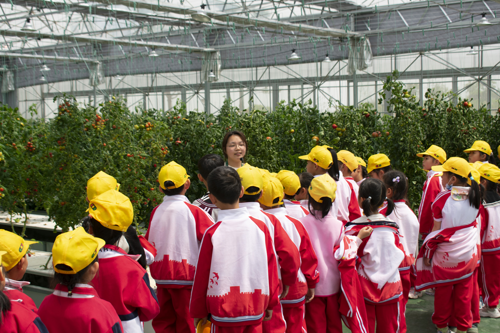 學生參加研學營活動。李士震攝