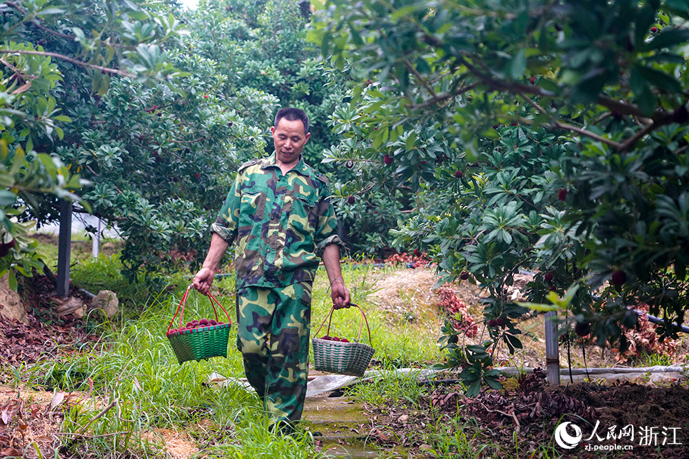6月8日，梅農把楊梅運送下山。人民網 章勇濤攝