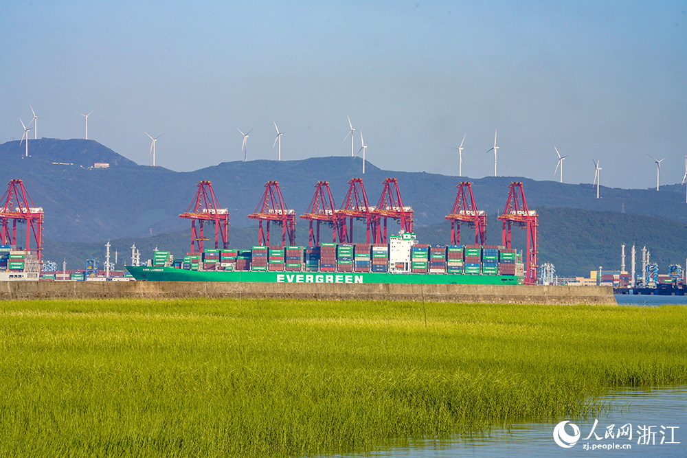 寧波舟山港梅山港區遠控設備集群數量居全國同類碼頭首位，“5G+北斗”應用設備數量位居全國集裝箱碼頭前列。人民網 章勇濤攝