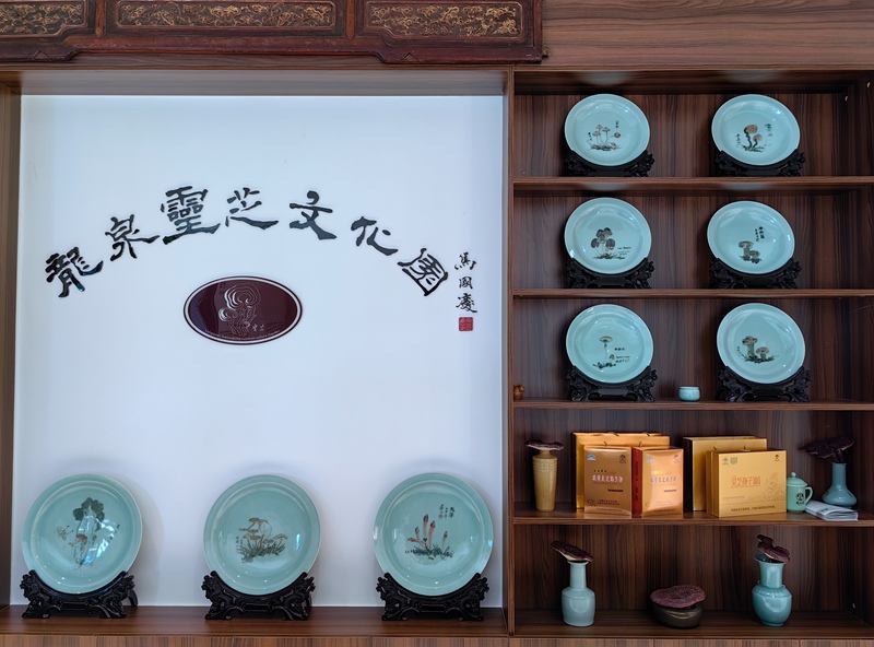 龍泉靈芝文化園。龍泉市委宣傳部供圖