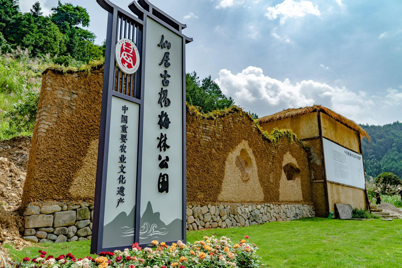 古楊梅林公園。仙居縣委宣傳部供圖