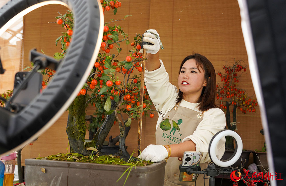 在浙江省余姚市小曹娥鎮一共富工坊，主播在對老鴉柿進行直播帶貨。人民網 章勇濤攝