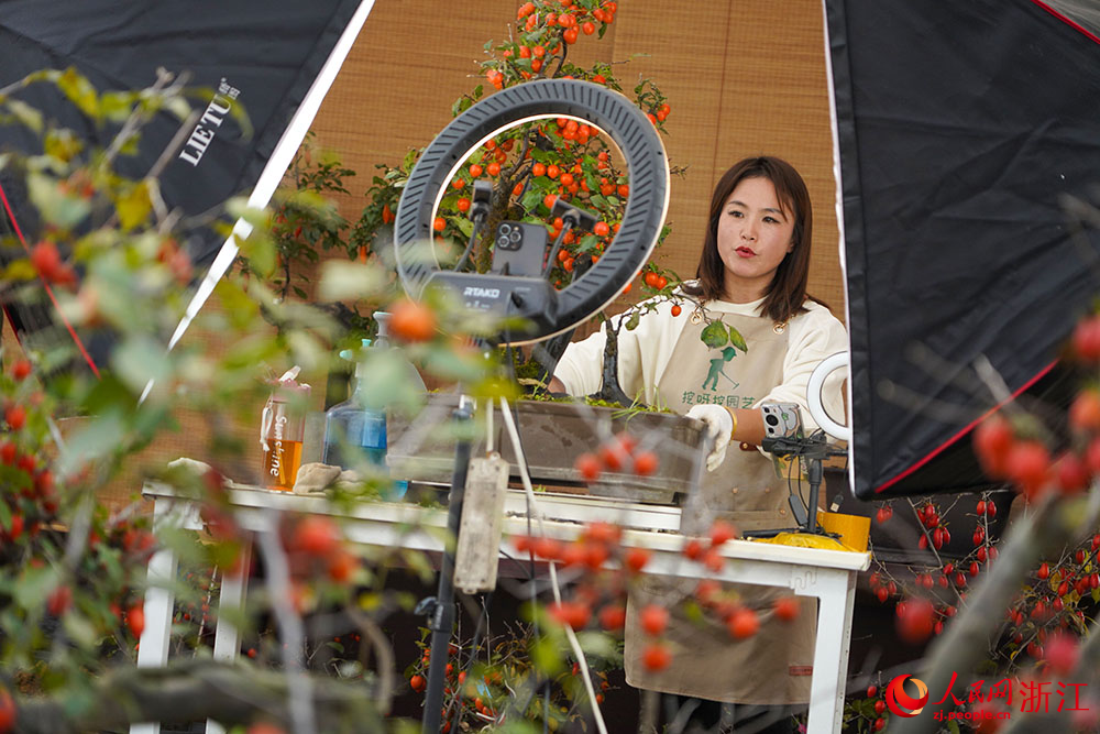 在浙江省余姚市小曹娥鎮一共富工坊，主播在對老鴉柿進行直播帶貨。人民網 章勇濤攝
