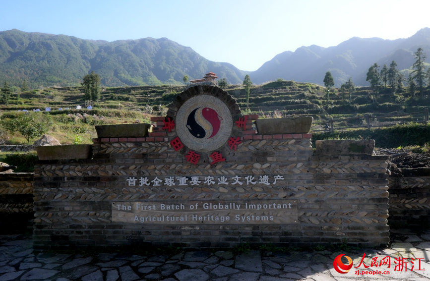 農耕文明蘊藏千年智慧。人民網張麗瑋攝