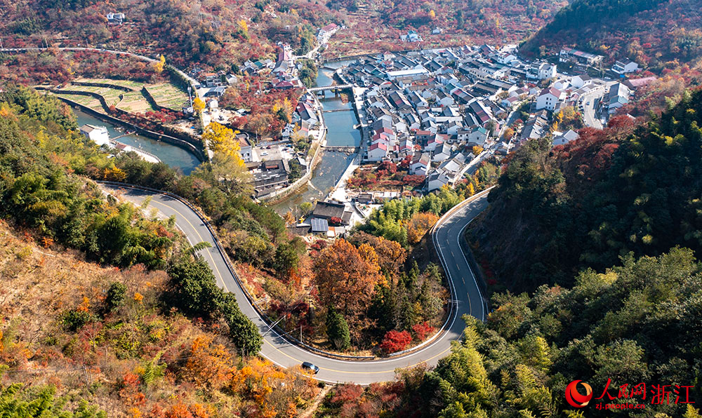 空中俯瞰浙江省余姚市四明山區，公路、民房與沿途漫山紅遍、層林盡染的山色構成絢麗多彩的深秋畫卷。人民網 章勇濤攝