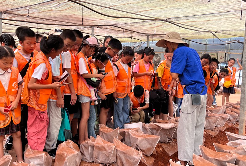 方格菌博園的技術員正在給孩子們講解孢子粉的產生過程。受訪者供圖